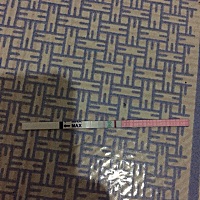 5🈷️31号月经走了，这几天一直测是这样的，我月经周期是37天，懂得姐妹们像这样🉐️多久才排卵啊，...