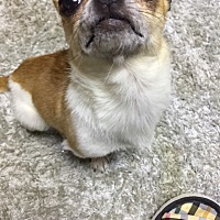 我准备明天洗澡洗头……我感觉自己臭臭的酸臭！请问可以用吹风机吹头发吗？