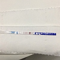 这个是有了吗？太激动了