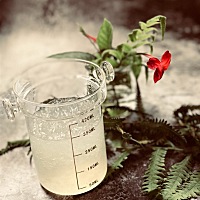 从烘培坑爬出来，又掉进摄影坑，两样都费钱，但过程却很喜欢，想学摄影在线的，有朋友懂吗？