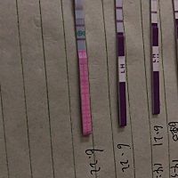 亲们 今晚刚测的，是不是排卵期要来了，晚上刚刚测出来的😝😝😛😛