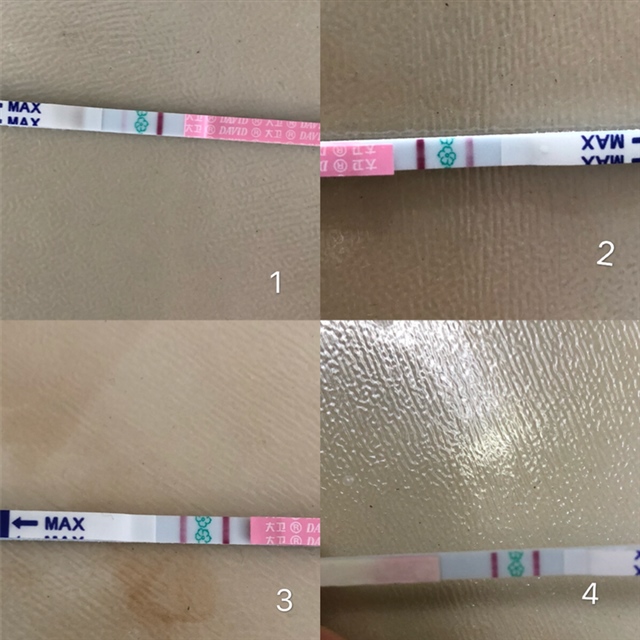 排卵试条，4是今晚上的！