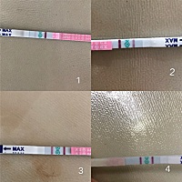 什么时候同房容易怀？ 排卵试条，4是今晚上的！