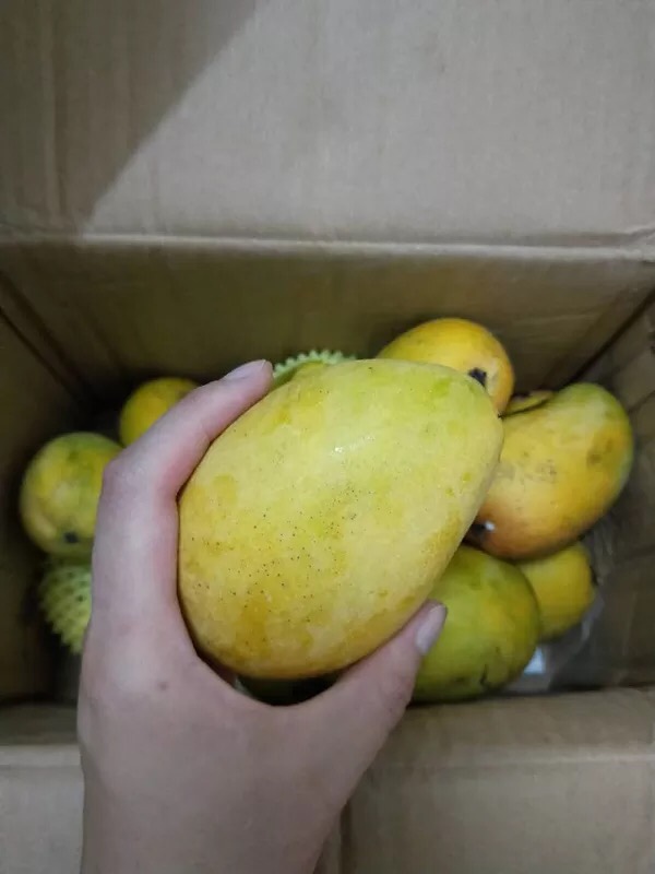 顾客实拍哦哦