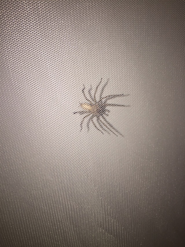 吓得一晚没睡好