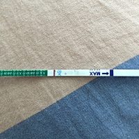 这是试纸坏了吗