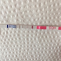 各位宝妈妈可以帮我看看这个是有还是没有呀？