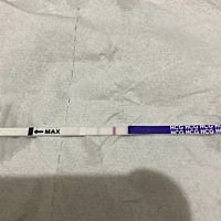 按日子算今天会来例假的，这样是有了？