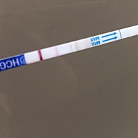 问一下……这是怀孕了吗……二胎的我依然迷茫……