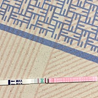 亲们帮我看看，这样的什么时候同房最合适，在线等，谢谢🙏