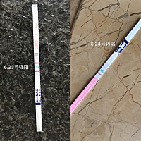 终于搞清楚了，以为强阳就是排卵，就开始爱爱，今天才知道强阳转弱才是要排卵，这几天折腾够呛，精子质...