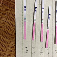 今天早上排卵了，昨天测到还没排，老公上班去了，今天要不要安排一次呀😂😂