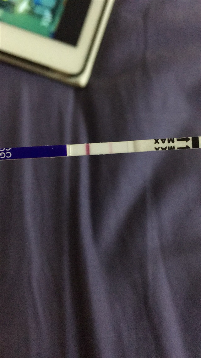 各位大师指点一下 怀了还是没有怀 上个月21ha