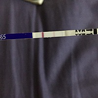 qiu 各位大师指点一下 怀了还是没有怀 上个月21ha