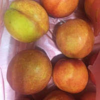 清晨，某宝出去买早餐，回来看到他手提两个袋子的水果，接过早餐吃完，便问买的啥水果？ 某宝曰：🍑 ...