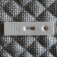 我是上个月5月18日来的例假，今天6月26日早上用验孕棒测试了一下，怀孕了，但是最近小肚子偶尔有一些疼...