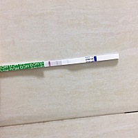 按上个月月经时间，后天应该是月经日，今天测一下显示这个，是不是怀孕啊