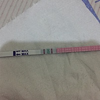 姐妹们看看这是不是强阳啊！今晚可以同房吗？还是明晚同房？