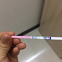 这个排卵试纸是排了吗
