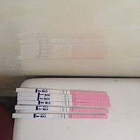 上个月排卵很准时，这个月又不准了，呼呼，希望这个月能怀上🙏🙏🙏