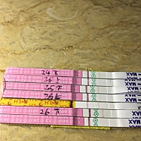 有经验的准妈妈们，帮我看看，还有两三天就到月经日了，排卵试纸连续三晚能测到浅杠，早上测又看不到，...