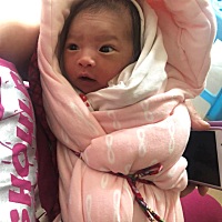 39周1天，中午11点开始阵痛到4点就生了～终于卸货了。大双眼皮大酒窝～