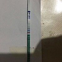 怀的可能性多少呢？5月29日末，6月12日排卵