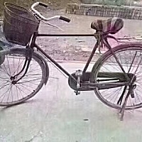 7月1日自驾游，我带着你，你带着打气筒，只限1人，多了我蹬不动，第15个点赞的咱俩一起去，春风十里不如...