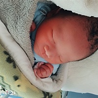 41+1昨天晚上九点多男娃一个，终于卸货了