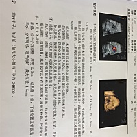 三维懂看的 帮忙看看是男女 娱乐一下