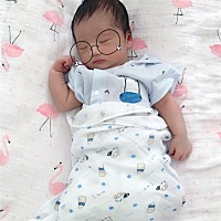 从小励志做个小学霸🤓