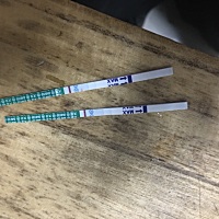 这是诈胡还是有啦