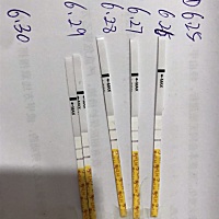 昨天测的比今天还红 难道昨天是排暖期吗。我6.14号来的月经。两天就没了。会不会怀孕啊？5月份来月经就...