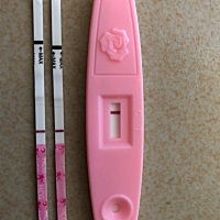 11号排卵每月25号是例假到访的日子，已经退迟六天了测了依旧三个白板☹️☹️☹️这个月又费了吗？这几...