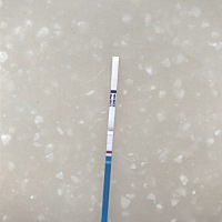 感觉自己快魔怔了，15号排卵，这两天每天测都是白板，都已经要绝望了，今天早上五点突然惊醒，我又开始...