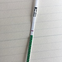 五月26号最后一次姨妈，到今天还是没来，推迟了四天，早上测了，这是中了还是没有啊？？？有没有同种情...