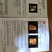 今天照的4维，看下男宝还是女宝，左边一张是姐姐，看着好像，看样子又是女宝了