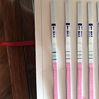 误会了昨天是强阳，原来这才是传说中的强阳