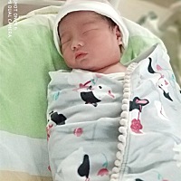 po一张小六子的照片🤗🤗