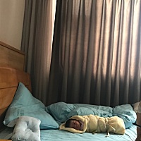 剖宫产，才叫痛！能顺产的宝妈尽量顺吧！