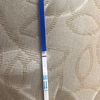 这是不是又没怀啊？哎