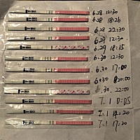 6.16末次，6.30测到排卵强阳，6.27开始功课，分别6.27，6.29，6.30强转弱补了一次，7.1补了一次。 今天...