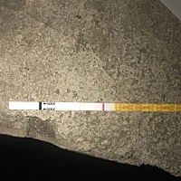 老公平时很少做梦。昨晚梦见蛇了。 好激动啊？什么情况啊？我们在备孕。末次是6月5号。测还是白板 为什...