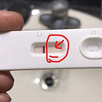 6月12末次月经，6月20号左右排卵，有同房三次，今天早上测试，是不是有了？