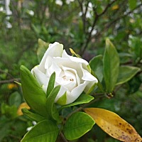 努力去做最好的自己 为自己的人生负责 为自己的梦想买单 早安