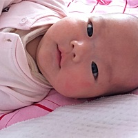 用酸奶机自己做的酸奶，浓稠度还可以就是酸度有点欠缺