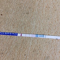 排卵期昨天刚过完，刚下班回来无聊就拿来测，一分钟显示两个线，不会是炸湖吧，有谁懂的都来说说。前两...