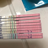 请问这到底排卵了么？帮忙看看，谢谢🙏