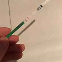 请问这样是排卵了吗？？？