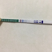 请帮忙看看有因吗。😭我眼睛都要看瞎了，老公说没有，可是我看见有。